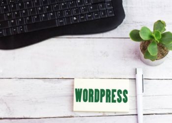 How to Find the Best WP Developer in Lake Zurich IL