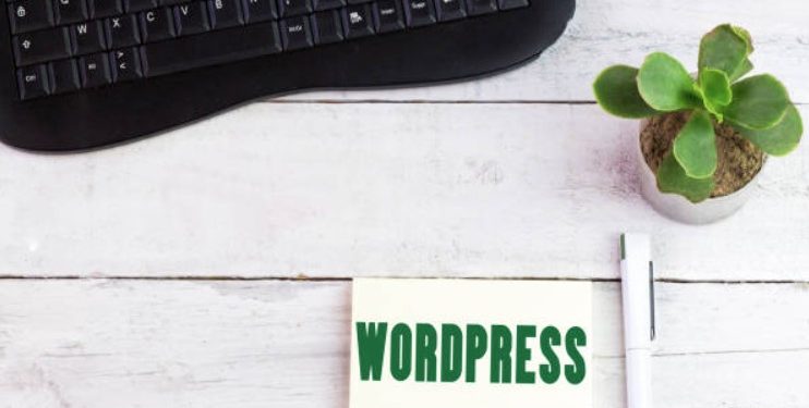 How to Find the Best WP Developer in Lake Zurich IL