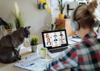 Websites for Finding Remote Graphic Design Jobs