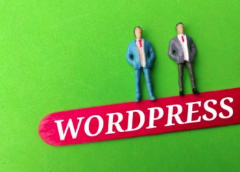 wordpress-developers-in-lake-zurich