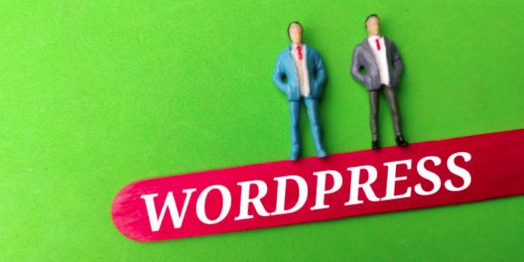 wordpress-developers-in-lake-zurich